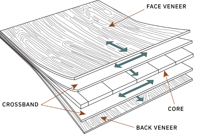 Plywood Layers