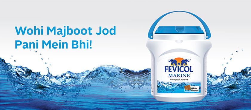 Fevicol Marine