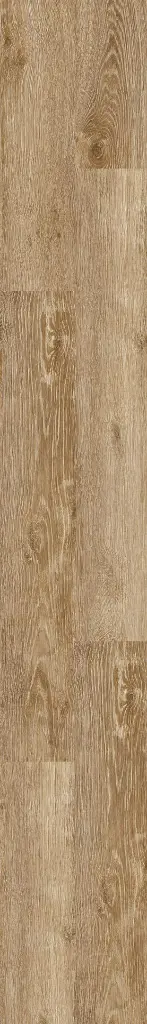 O116_panel.webp