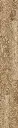 O116_panel.webp
