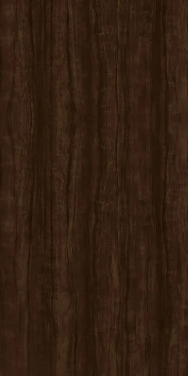10451.webp