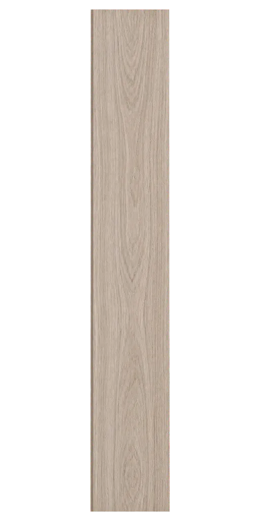 t2.webp