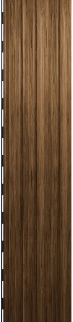 Asset 14.webp