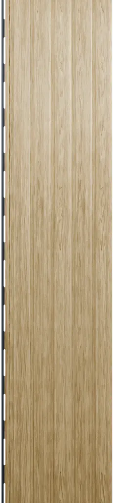 Asset 12.webp