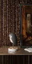 Asset 1.webp