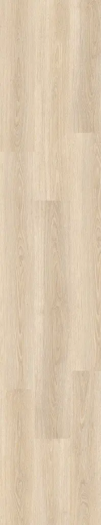 O117_panel.webp