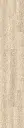 O117_panel.webp