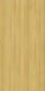 10323 SF | 0.8 Urban Teak