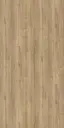 14588 SF RH  | 1MM Apex Leaved Elm