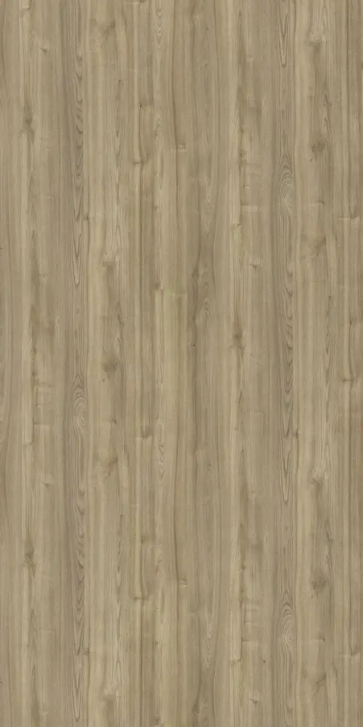 14586 SF RH | 1MM Narrow-Leaved Elm