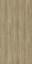 14586 SF RH | 1MM Narrow-Leaved Elm