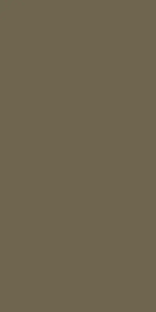 21427 SF | 0.8 Silt Brown