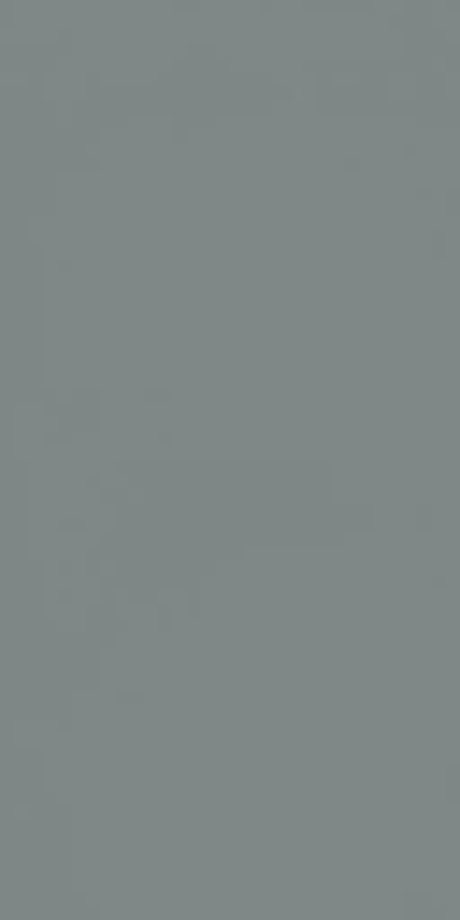 21069 SF | 1MM Silver Grey