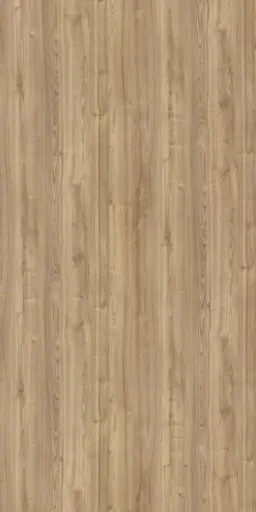 [7137] 14588 SF RH  | 1MM Apex Leaved Elm