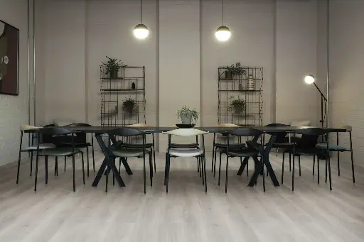 [6461] O131 Manet Oak